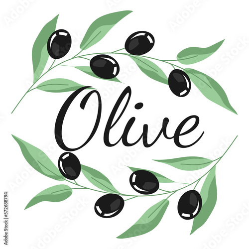 Vector set of olive oil labels. Olive tree, branches and drop. Black olives. Green olives.	
