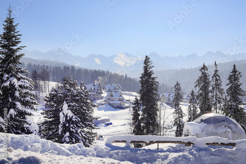 BUKOWINA TATRZANSKA, POLAND - FEBRUARY 09, 2023: A beautiful winter in the mountains. Wooden huts and trees in Bukowina Tatrzanska, Poland.