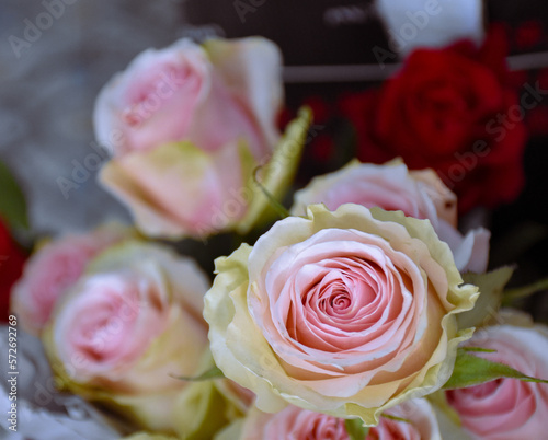 Cold bouquet of pink roses