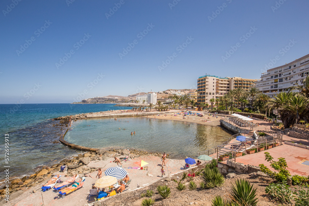 Fototapeta premium Canaria