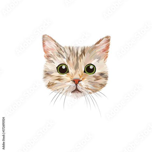 Illustration of cute cat cartoon design.