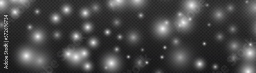 Fine, shiny dust particles fall off slightly.Winter background of snowflakes blown by the wind on a white transparent background.