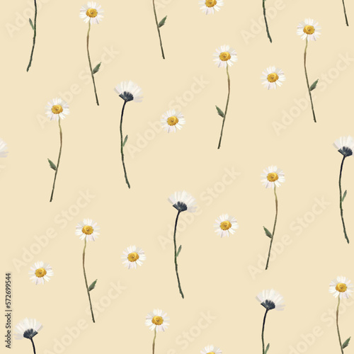 Floral pattern with daisy  background with flowers. Dried flowers pattern  field flowers  wild flowers pattern. Seamless pattern. Hand drawn detailed botanical pattern for social media  web  cards.