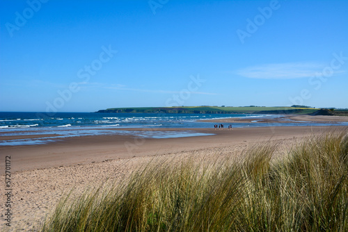 A wide sandy beach along the ocean coast. Overgrown grass in the foreground