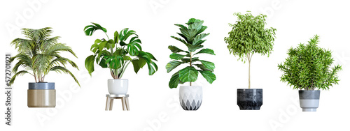 Isometric plant 3d rendering on white background. 