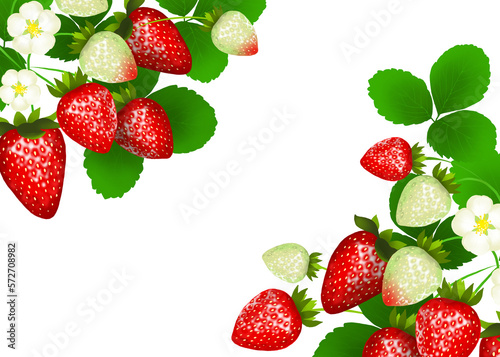 Frame of strawberry fruits and plants on white background 