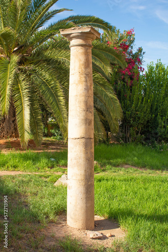 Roman or ancient Greek column in a park or garden of a European city.