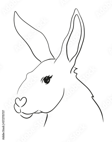 Black and white vector drawing of a rabbit