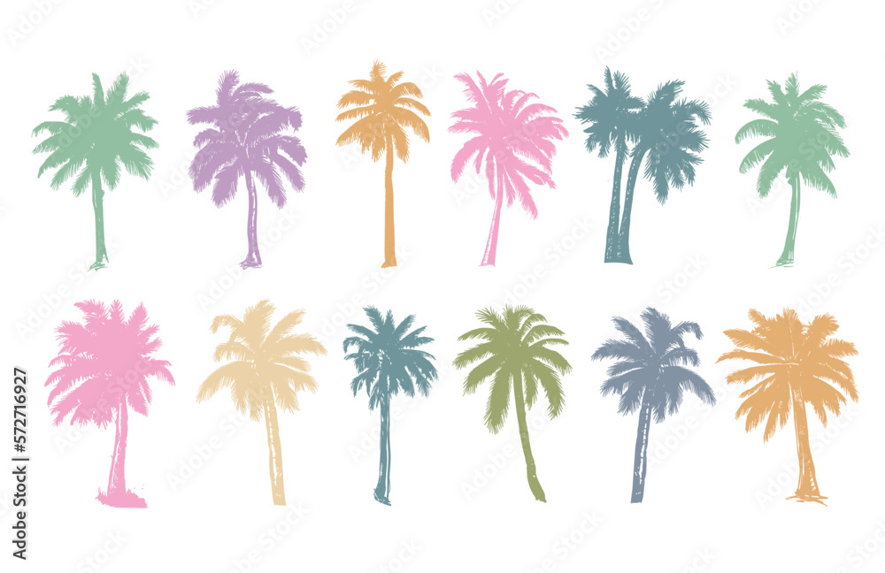 Palm, Hello Summer, hand drawn illustrations, vector.	
