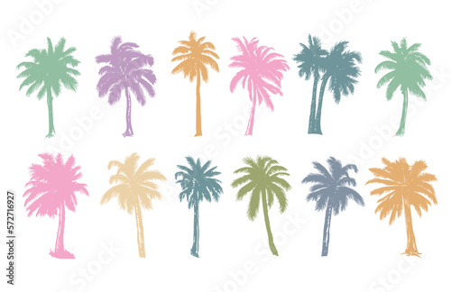 Palm  Hello Summer  hand drawn illustrations  vector.  