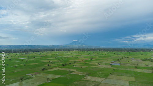 High angle view mount Seulawah Agam and Rice field