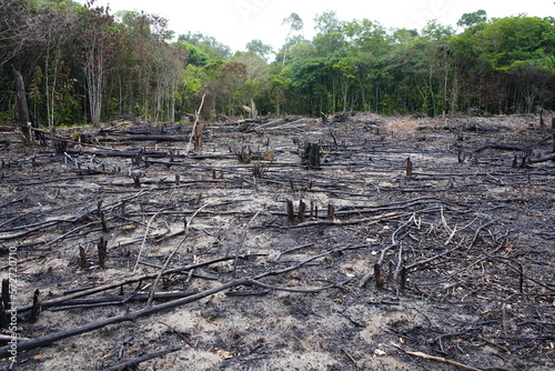 Destroyed tropical Amazon rainforest, Brazil. Image taken on February 14, 2023