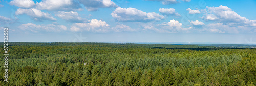 Lüneburger Heide Panorama