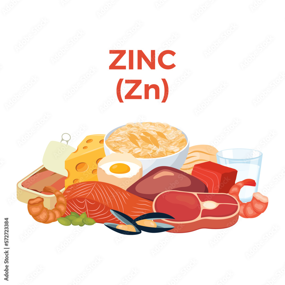 Zinc (Zn) in food icon vector. Zinc food sources vector illustration