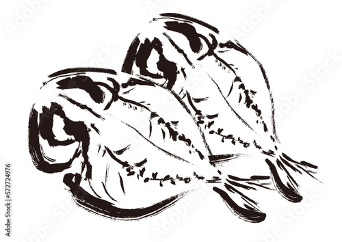 鯵の干物の描き筆書きイラスト　干し魚