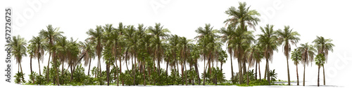 Obraz na płótnie palm trees on a tropical island hq arch viz cutout