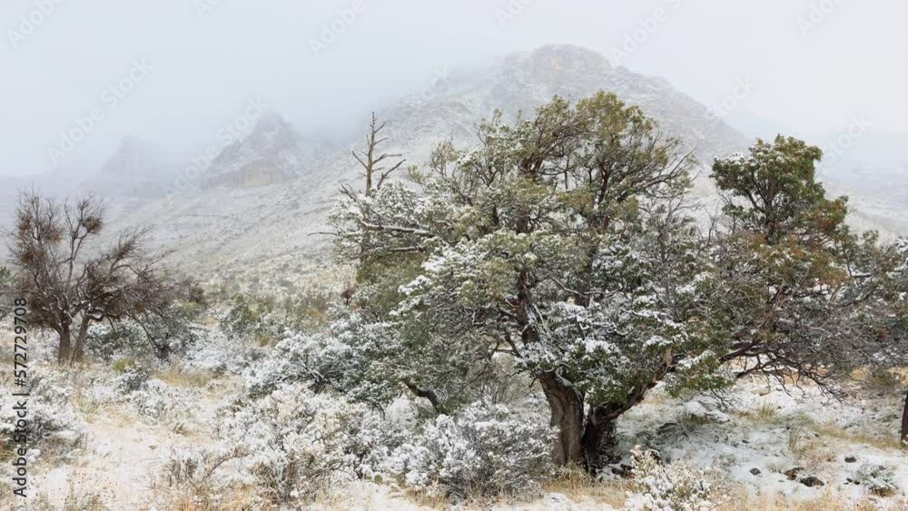 Overcast view of the landscape of Guadalupe Mountains National Park Overcast view of the landscape of Guadalupe Mountains National Park