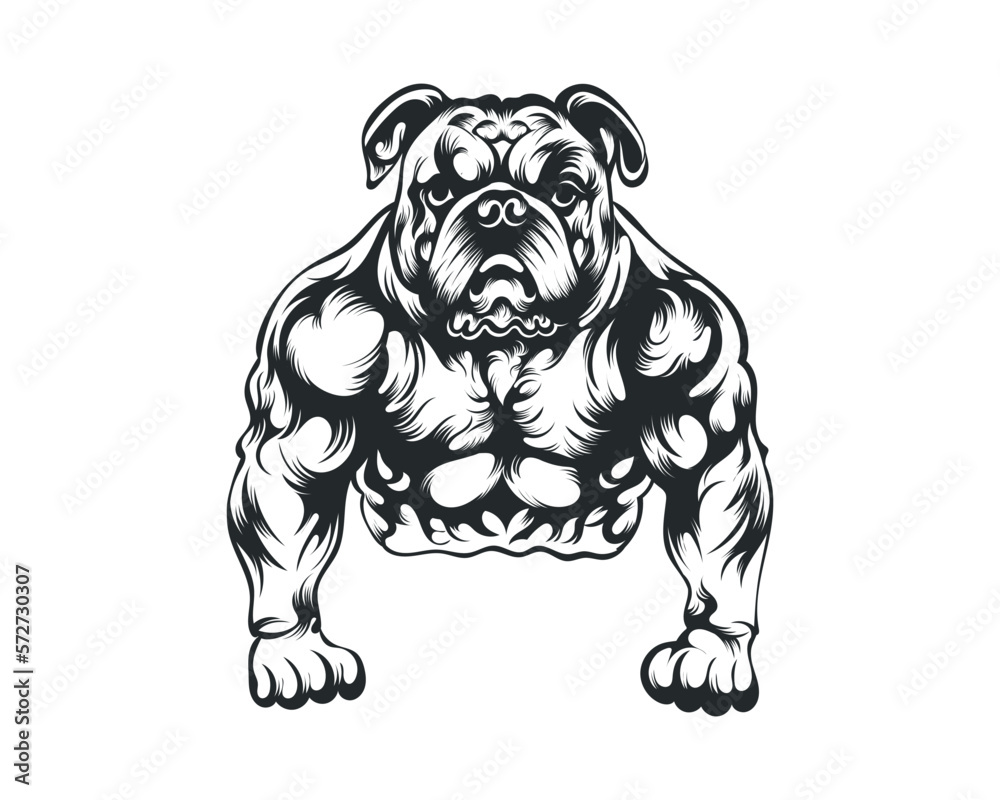 Black and White body builder Bulldog vector illustration, body builder dog vector Black and White body builder Bulldog vector illustration, body builder dog vector