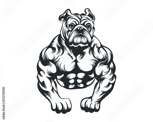Black and White body builder Bulldog vector illustration, body builder dog vector