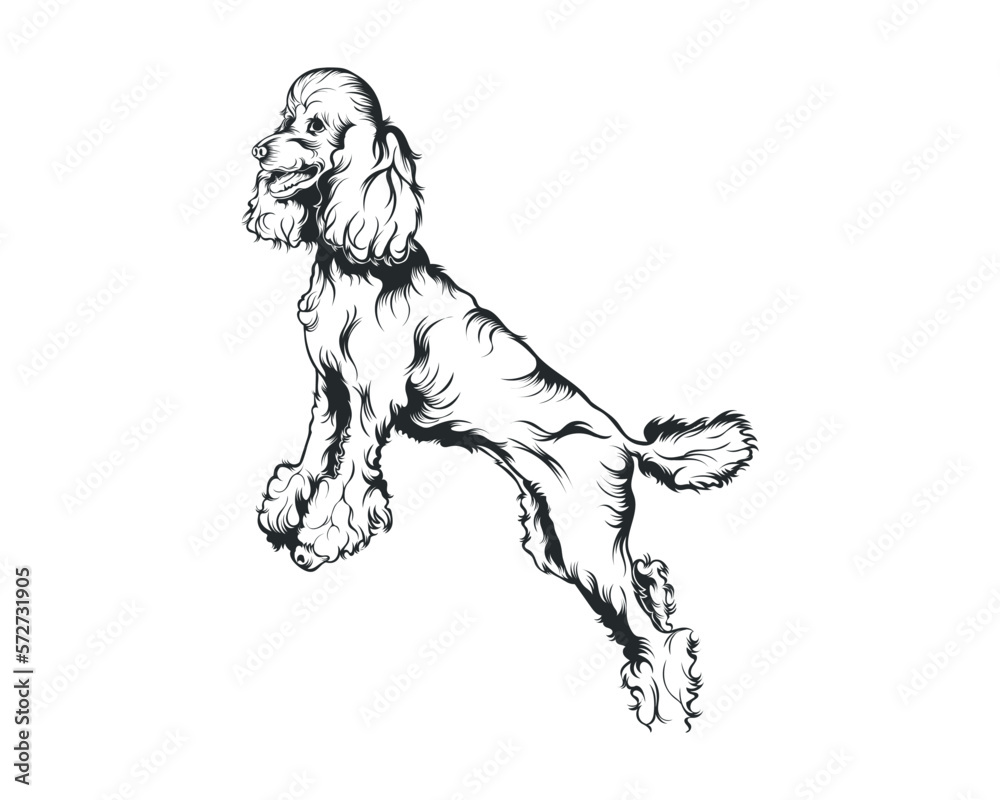 Poodle Dog Vector Illustration, Poodle breed Vector on White Background for t-shirt , logo and others Poodle Dog Vector Illustration, Poodle breed Vector on White Background for t-shirt , logo and others