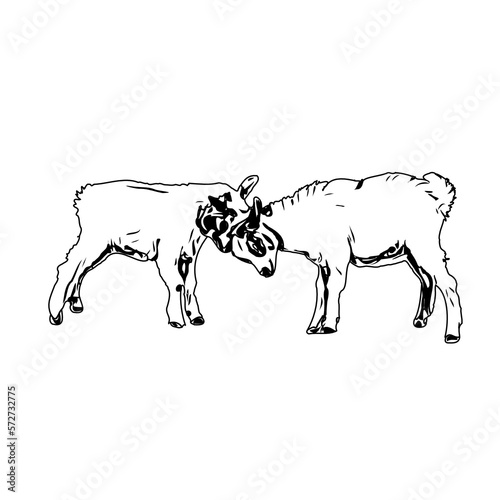 Black and white sketch of a goat with transparent background