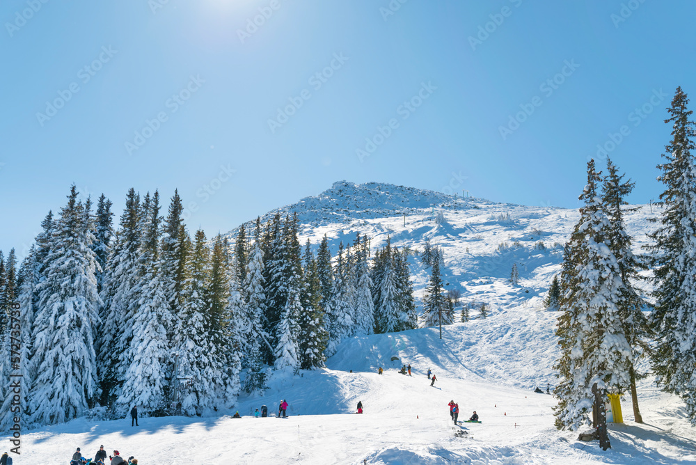 Fototapeta premium People skiing on a ski slope .Vitosha Mountain ,Bulgaria