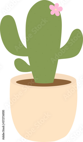   actus in pot with flower vector illustration
