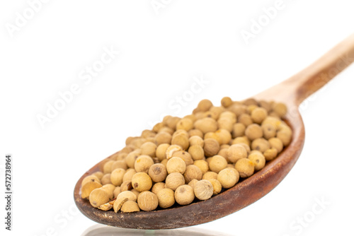 Fragrant vegetable coriander seeds in a wooden spoon, macro, isolated on white background.