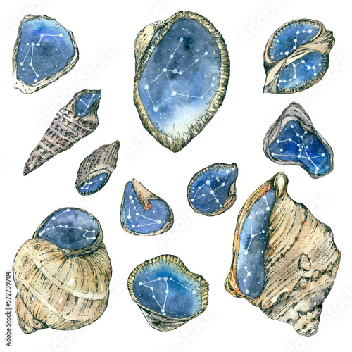 A set of watercolor shells with water and stars inside, isolates. Watercolor illustration. © Sadovskaya Daria ART