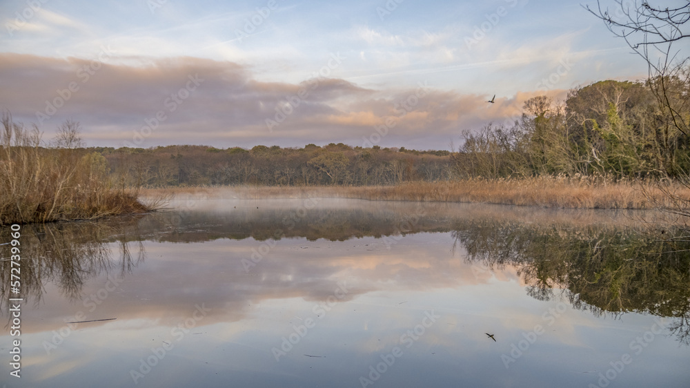Paysage aux couleurs de l'automne avec un étang et de la brume 