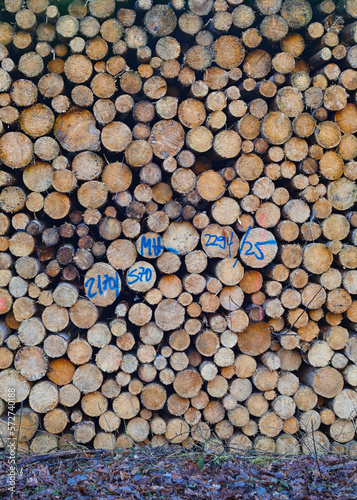 Holzeinschlag  Schnittholzstapel  Stirnholzansicht Fichten 