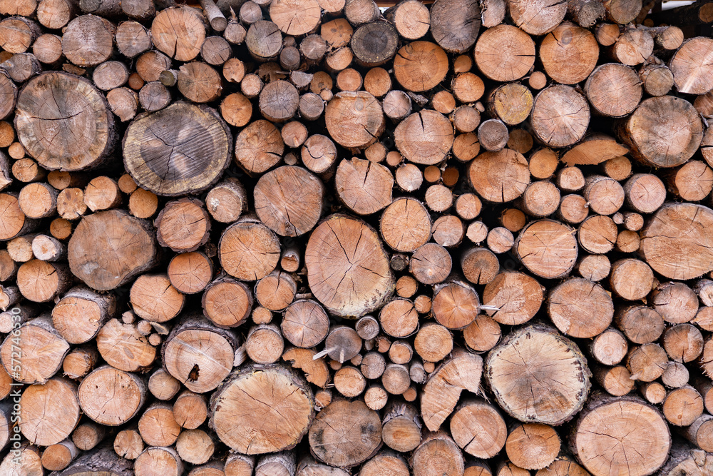 Wood logs stacked background flat with natural light for background