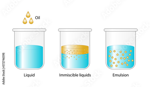 Emulsion, a mixture of two immiscible liquids (oil and water) in beakers, Emulsion oil in water, Immiscible liquids, isolated on white background. Vector illustration.