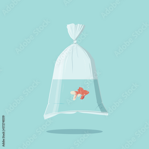 Prize at the Fair! Fish in bag