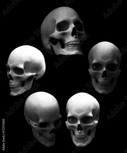 Realistic Engraved Skulls Vector Collection