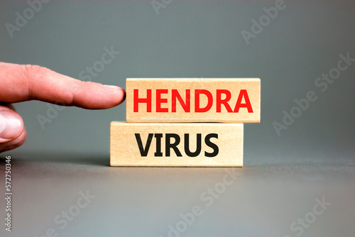 Hendra virus symbol. Concept words Hendra virus on wooden block. Beautiful grey table grey background. Doctor hand. Medical hendra virus concept. Copy space.