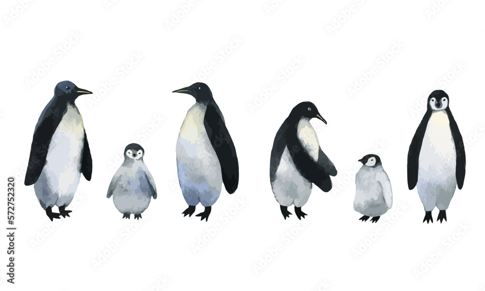 Obraz premium Vector penguins. Collection of adults penguins with cute baby penguins. Watercolor hand drawn illustration isolated on white background.