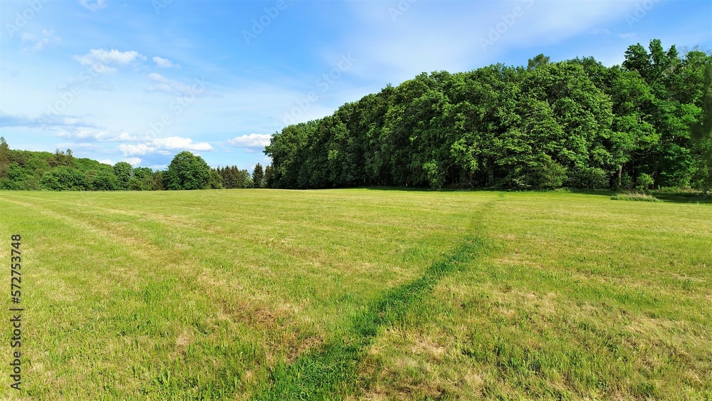 A treaded path leads across the mowed grassy meadow to the deciduous forest. In summer the weather is sunny and the sky is blue with feathery clouds A treaded path leads across the mowed grassy meadow to the deciduous forest. In summer the weather is sunny and the sky is blue with feathery clouds