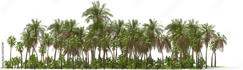 palm trees on a tropical island hq arch viz cutout