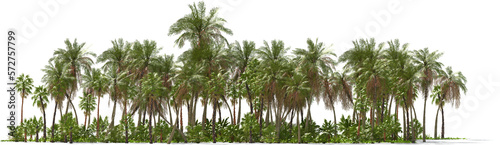 Obraz na płótnie palm trees on a tropical island hq arch viz cutout w salonie