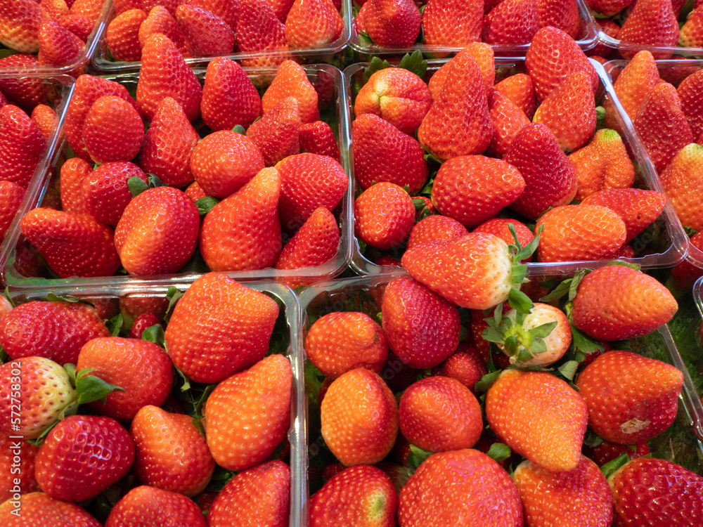 Strawberries in bulk for sale in the market Strawberries in bulk for sale in the market