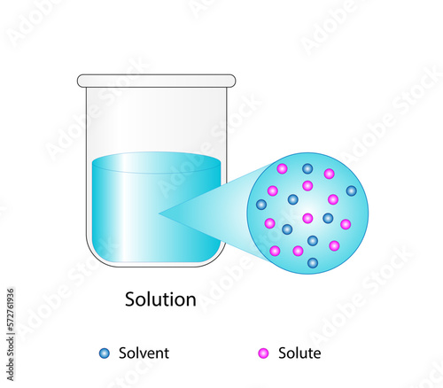 Solutions. Solubility homogeneous mixture. Solute, solvent and solution. Dissolving solids. Chemistry. Educational diagram. Conical flask, isolated on white background. Vector illustration.