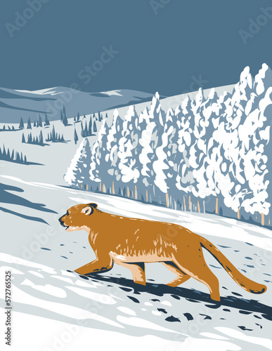  WPA poster art of a cougar, a large cat native to the Americas in Boulder, Colorado in winter viewed from side done in works project administration or federal art project style.
