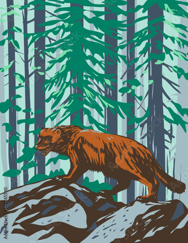 WPA poster art of a wolverine or the glutton, carcajou or quickhatch in Yellowstone National Park, Wyoming USA done in works project administration.