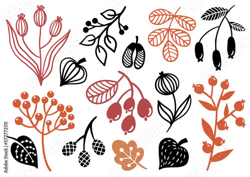 Herbst Blätter Beeren Grafiken	