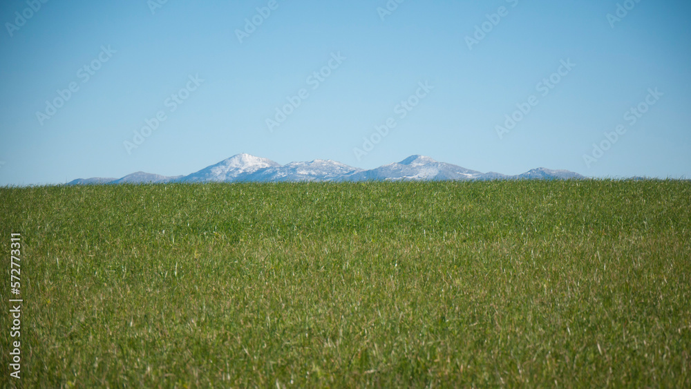 Picos nevados en montañas lejanas en el horizonte tras pradera de hierba Picos nevados en montañas lejanas en el horizonte tras pradera de hierba