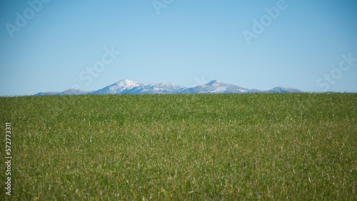 Picos nevados en montañas lejanas en el horizonte tras pradera de hierba
