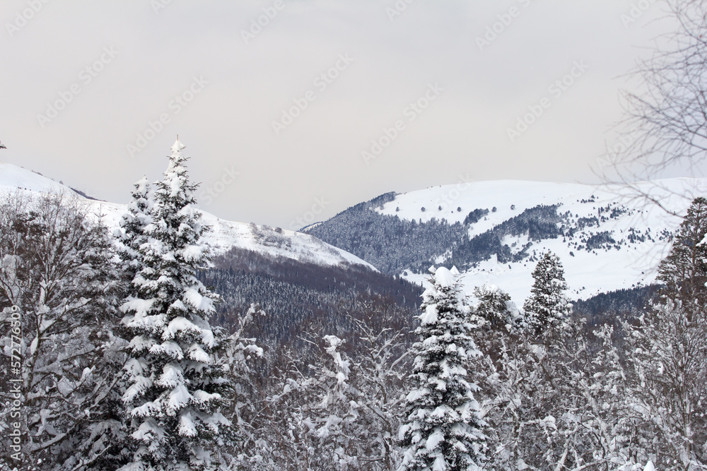 Obraz premium A frosty winter morning in a mountainous area with frozen nature and snow captivity.