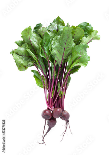 BOTWINKA
Young beetroot with fresh leaves isolated on transparent png photo