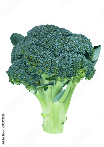 BROKUŁ
brocolli isolated on transparent png